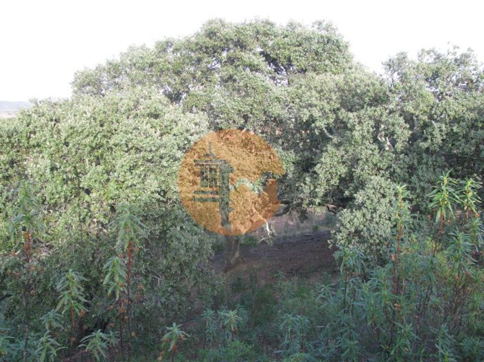 Image No.37-Plot for sale