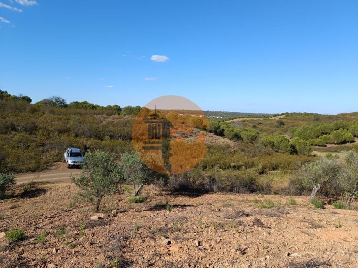 Image No.4-Plot for sale