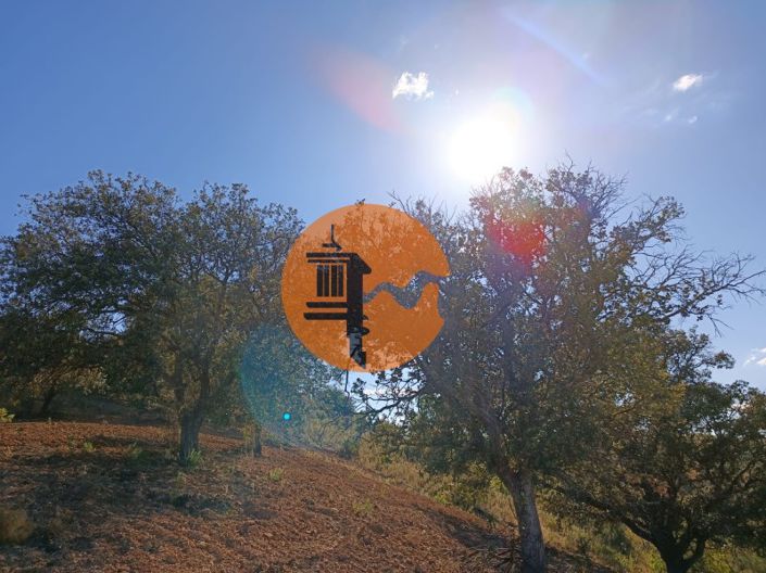 Image No.5-Plot for sale