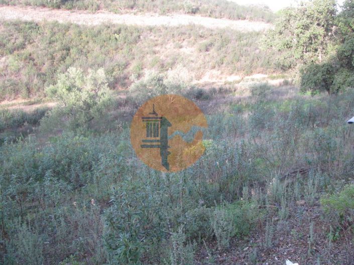 Image No.6-Plot for sale