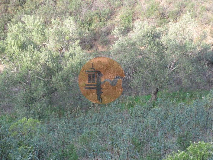 Image No.7-Plot for sale