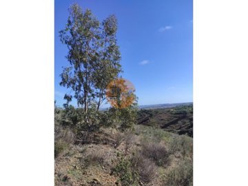 id5e813001-0000-0500-0000-000010b9dd4b