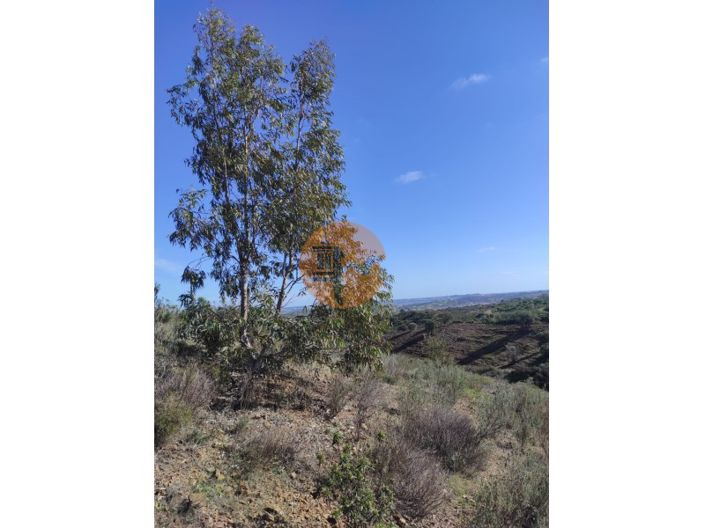 Image No.12-Plot for sale