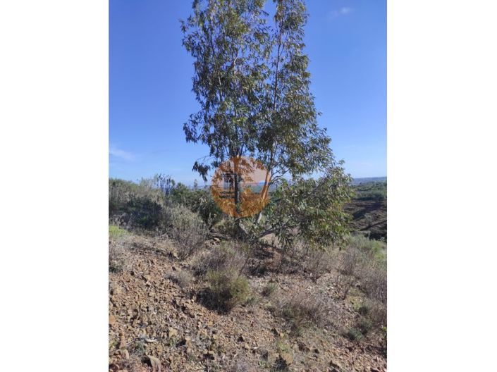 Image No.21-Plot for sale