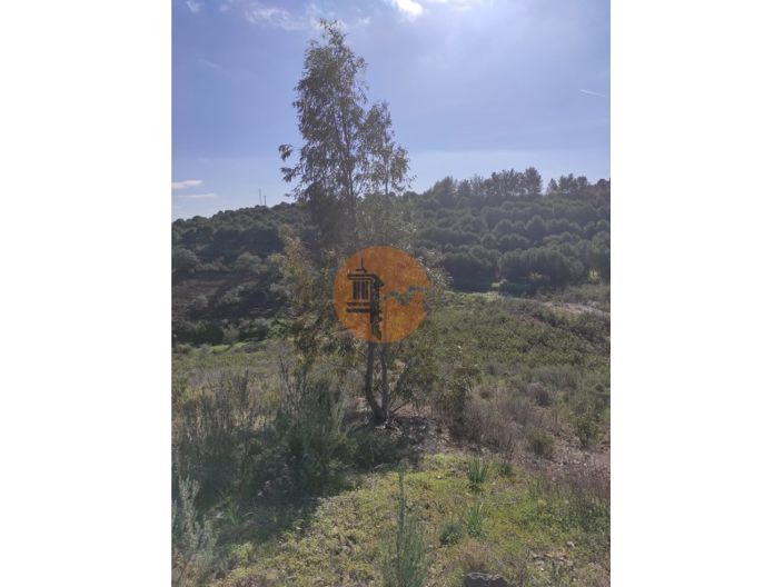 Image No.22-Plot for sale