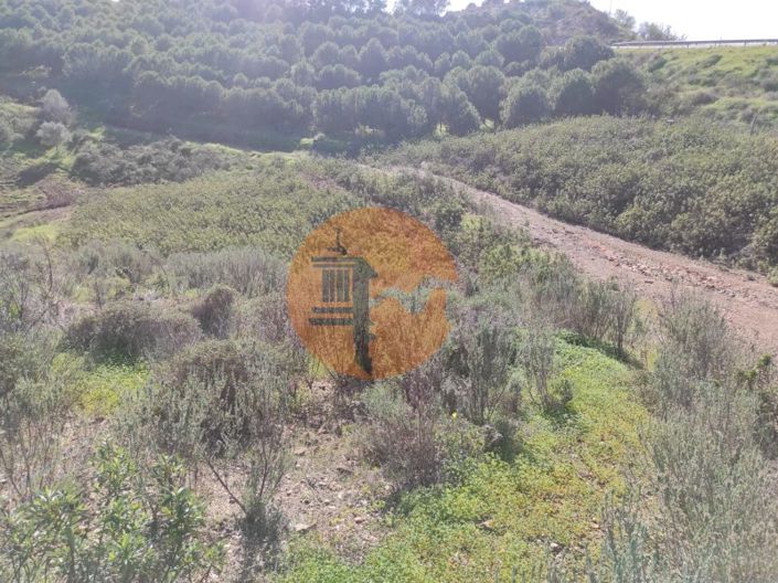 Image No.23-Plot for sale