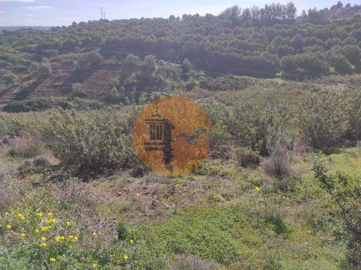 Image No.4-Plot for sale