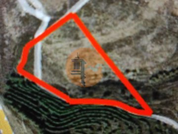 id5e813001-0000-0500-0000-000010b9dd43