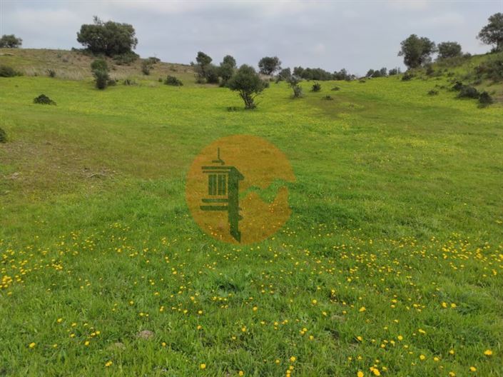 Image No.1-Plot for sale