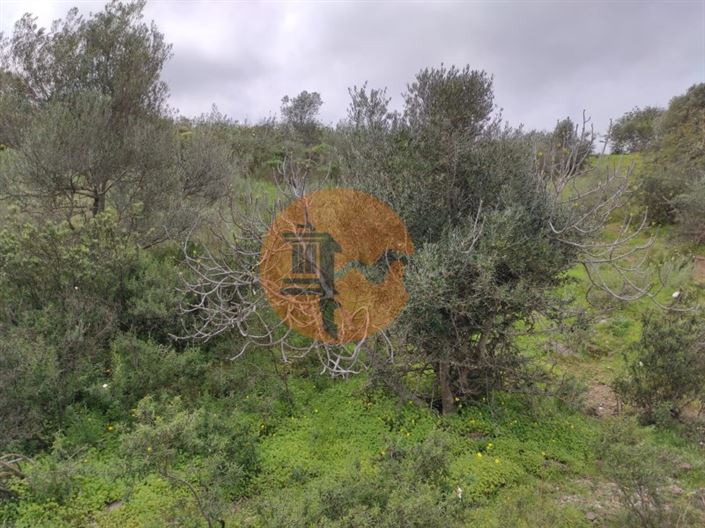 Image No.17-Terrain à vendre à Castro Marim