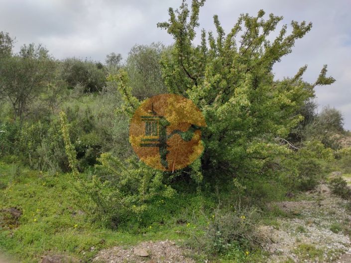 Image No.32-Terrain à vendre à Castro Marim