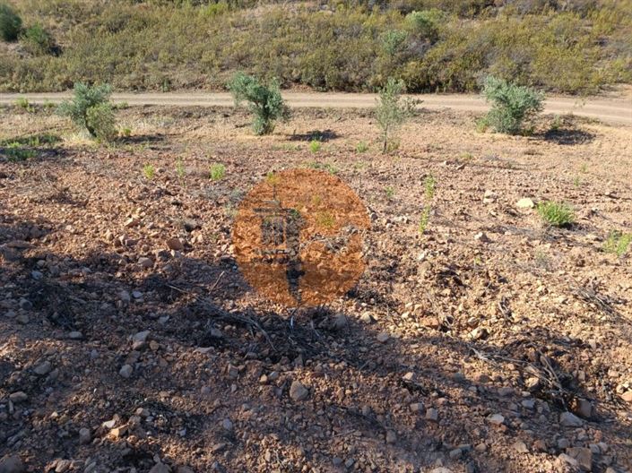 Image No.1-Plot for sale