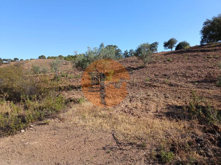 Image No.12-Plot for sale