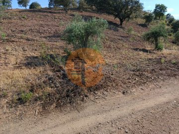 idffc33c01-0000-0500-0000-000010b9cceb