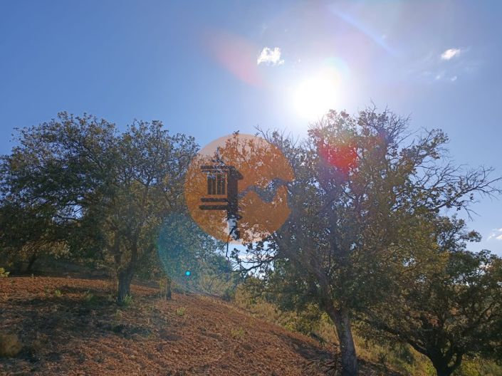 Image No.2-Plot for sale