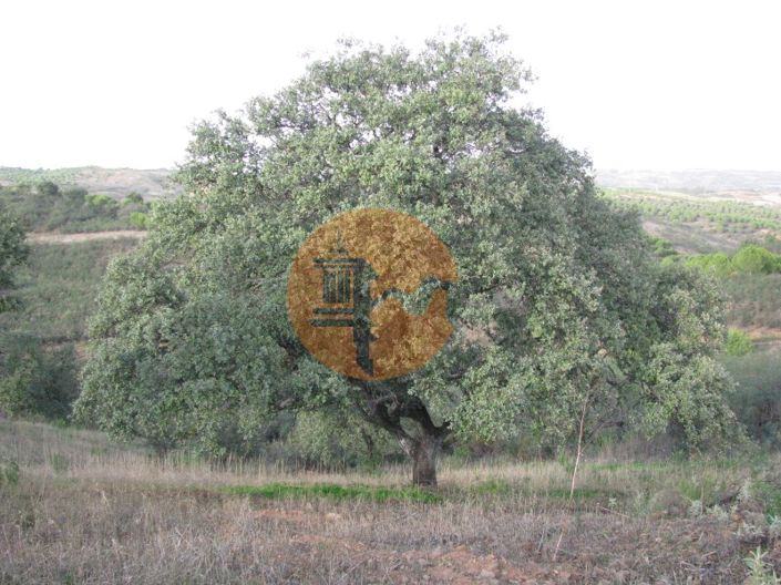 Image No.21-Plot for sale