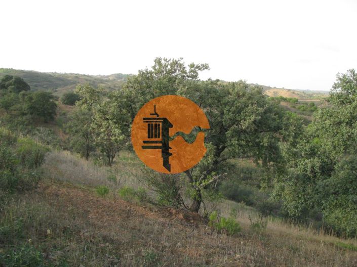 Image No.22-Plot for sale