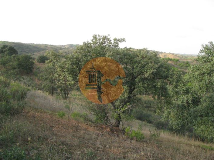 Image No.22-Plot for sale