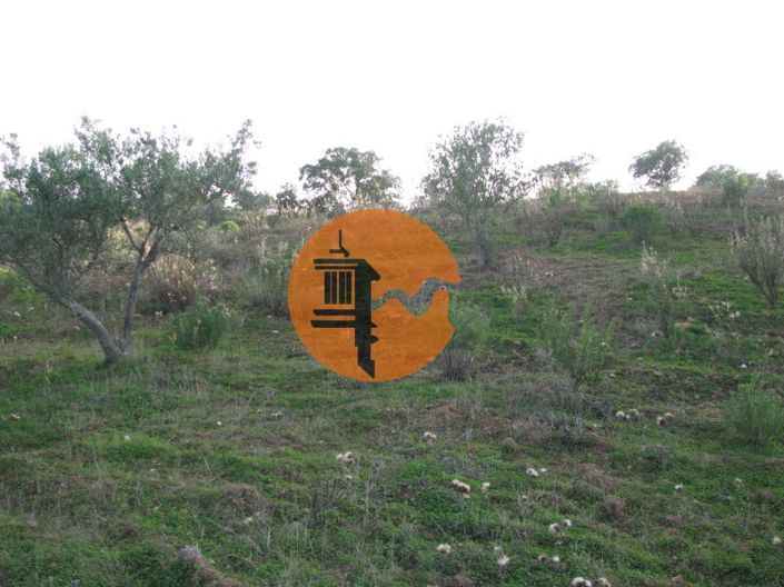 Image No.26-Plot for sale