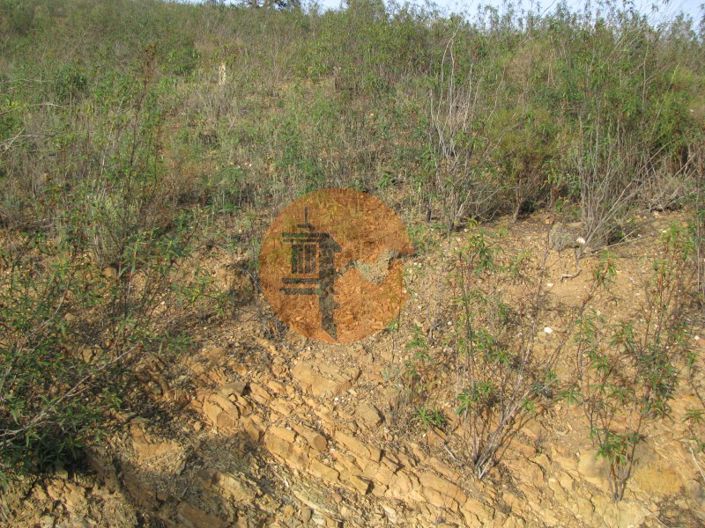 Image No.28-Plot for sale