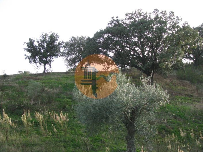 Image No.30-Plot for sale