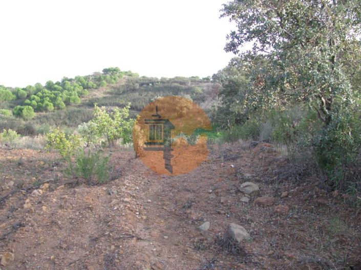 Image No.33-Plot for sale