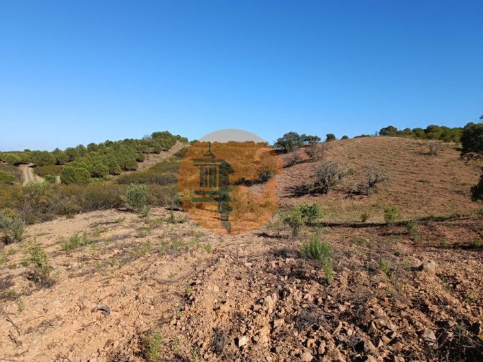 Image No.4-Plot for sale