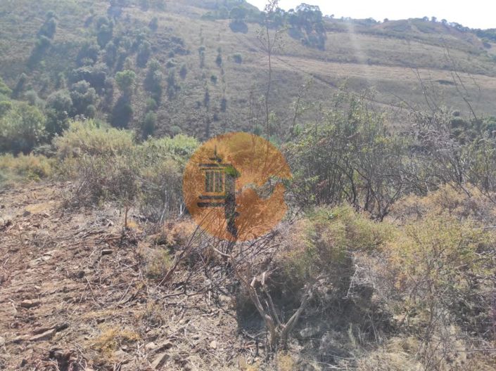 Image No.12-Terrain à vendre à Tavira