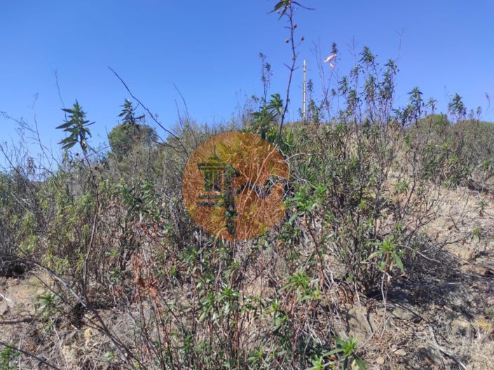 Image No.25-Terrain à vendre à Tavira