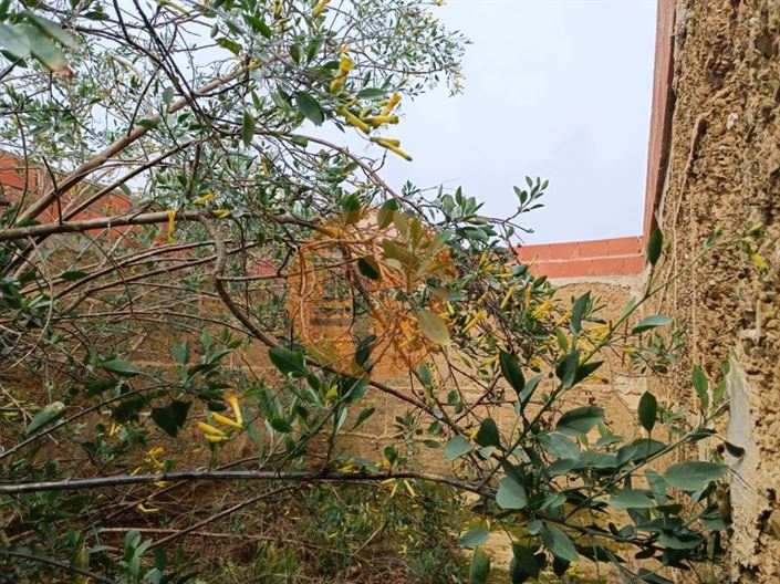 Image No.17-1 Bed House for sale