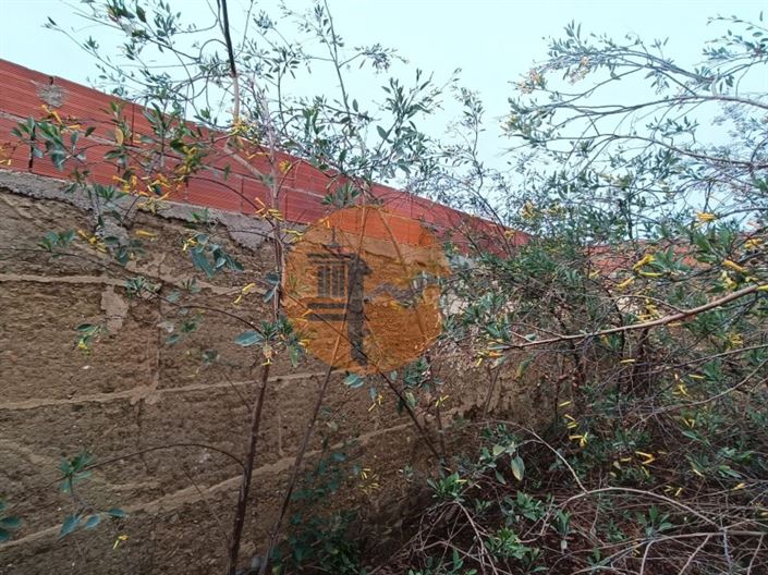 Image No.7-1 Bed House for sale