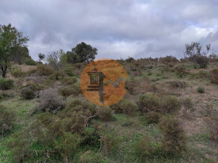 Image No.26-Plot for sale