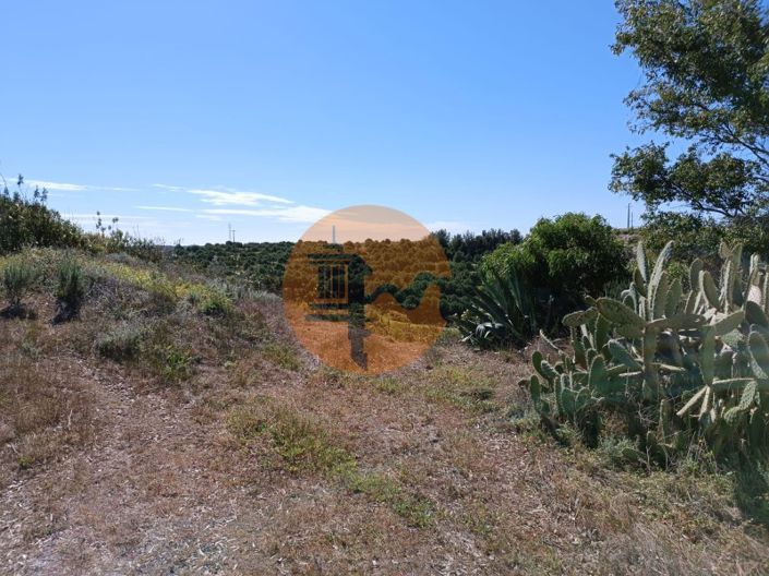 Image No.12-Plot for sale