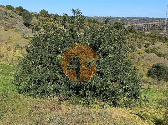 Image No.15-Terrain à vendre à Castro Marim