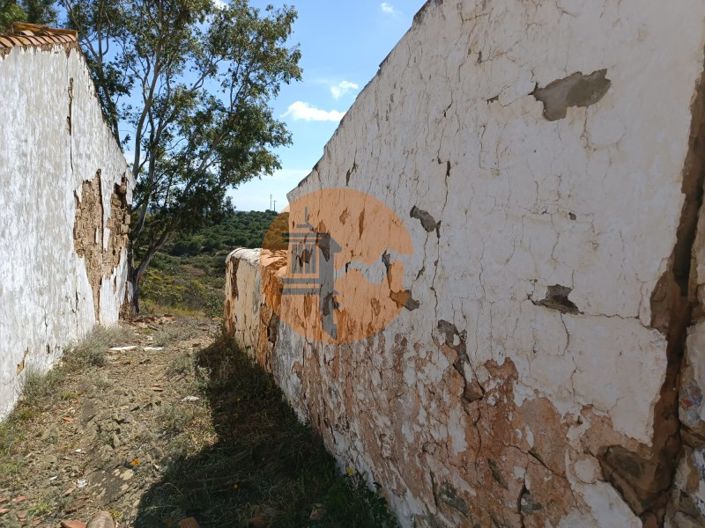 Image No.21-Plot for sale