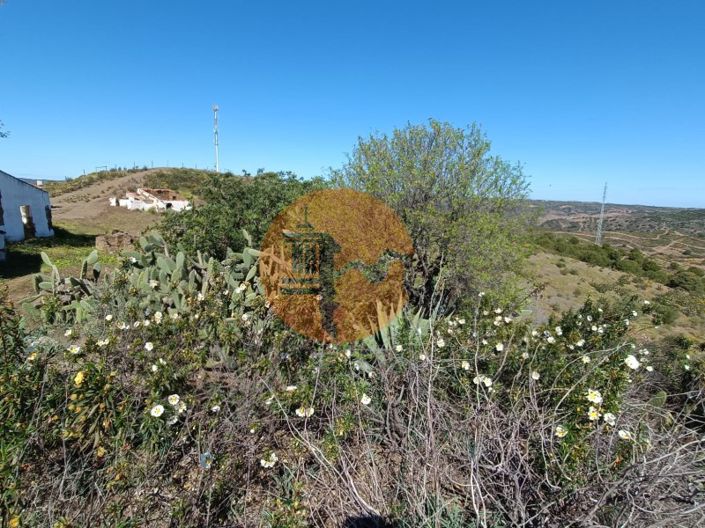 Image No.7-Plot for sale