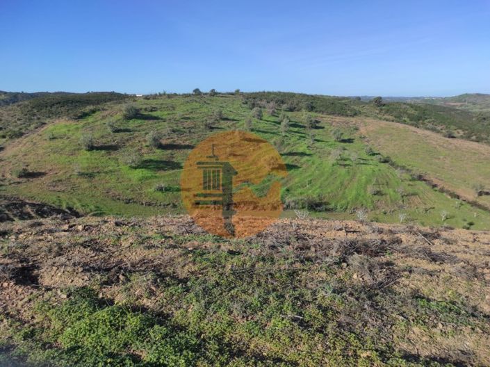 Image No.12-Plot for sale