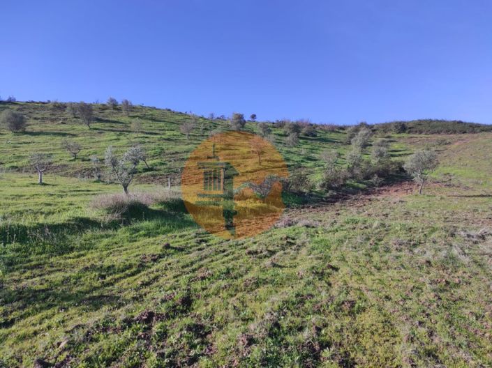 Image No.14-Plot for sale