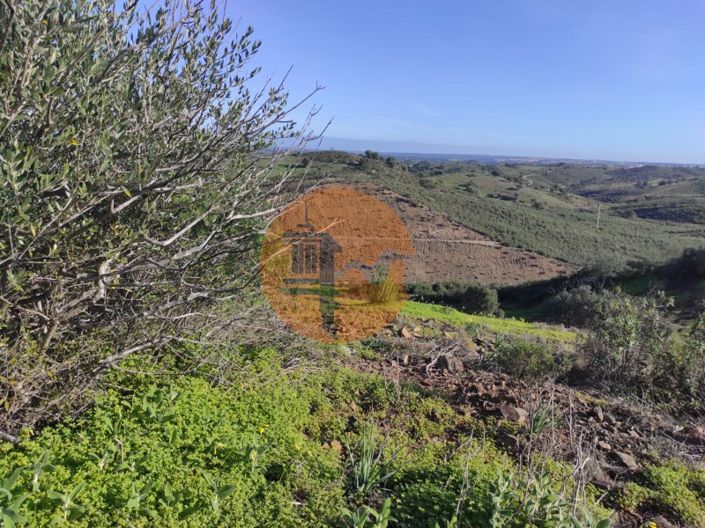 Image No.16-Plot for sale