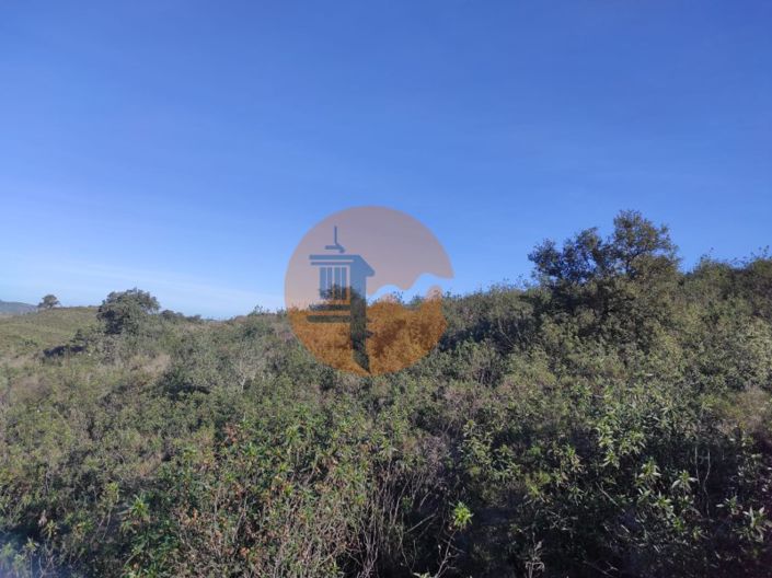 Image No.19-Plot for sale