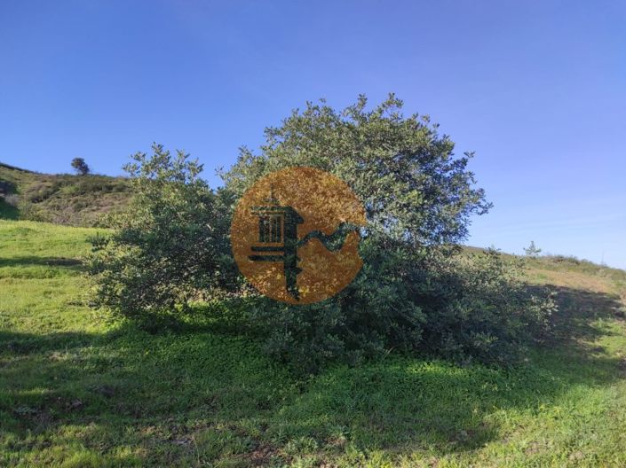 Image No.23-Plot for sale