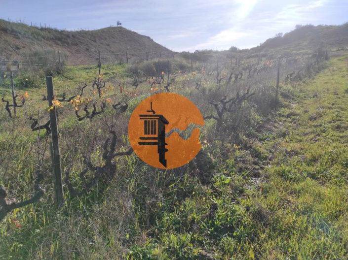 Image No.30-Plot for sale