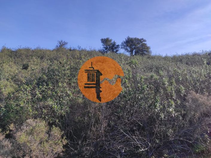 Image No.7-Plot for sale