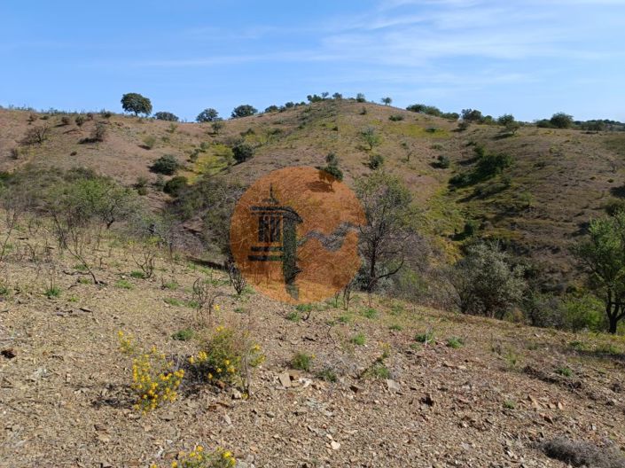 Image No.19-Plot for sale