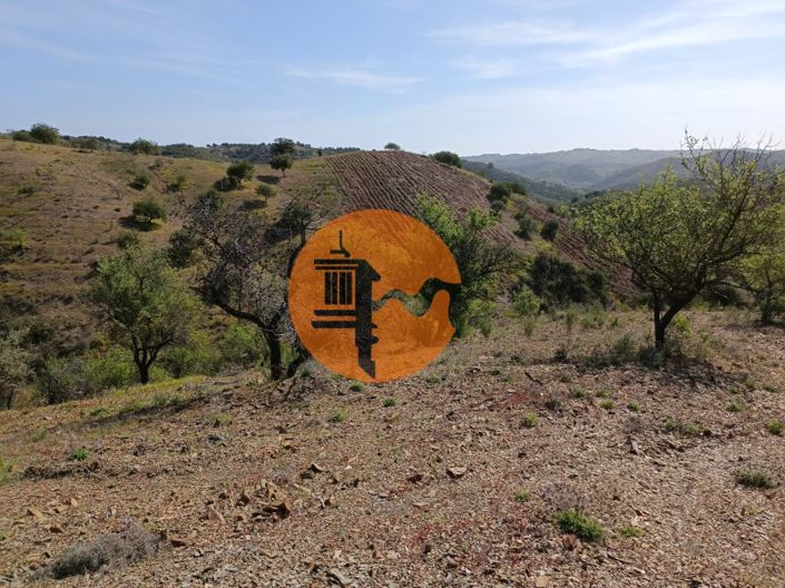 Image No.23-Plot for sale