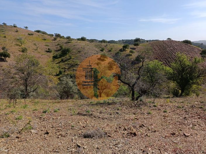 Image No.6-Plot for sale