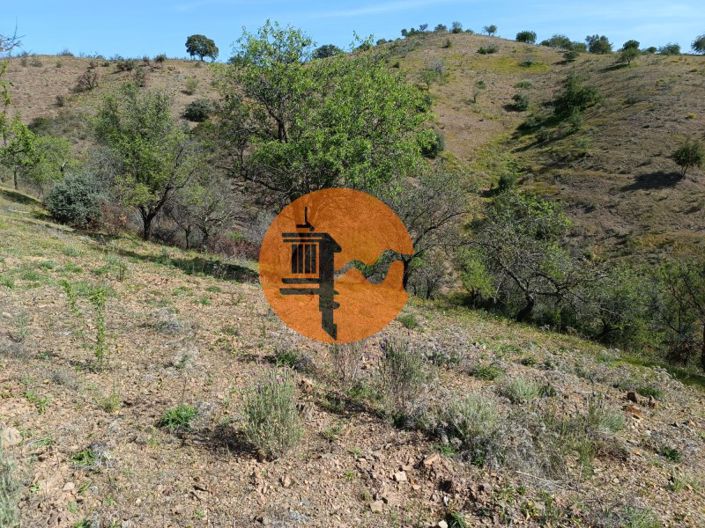 Image No.8-Plot for sale