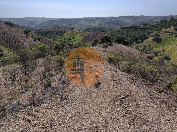 Image No.9-Plot for sale