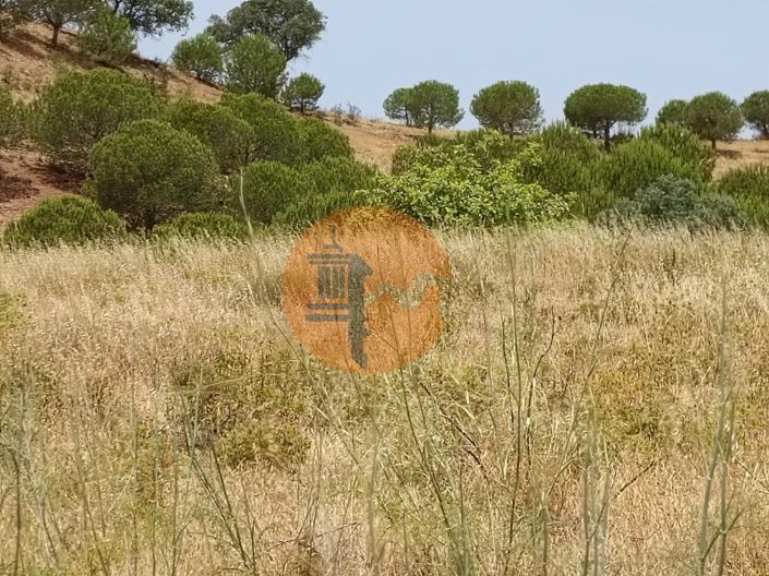 Image No.18-Plot for sale
