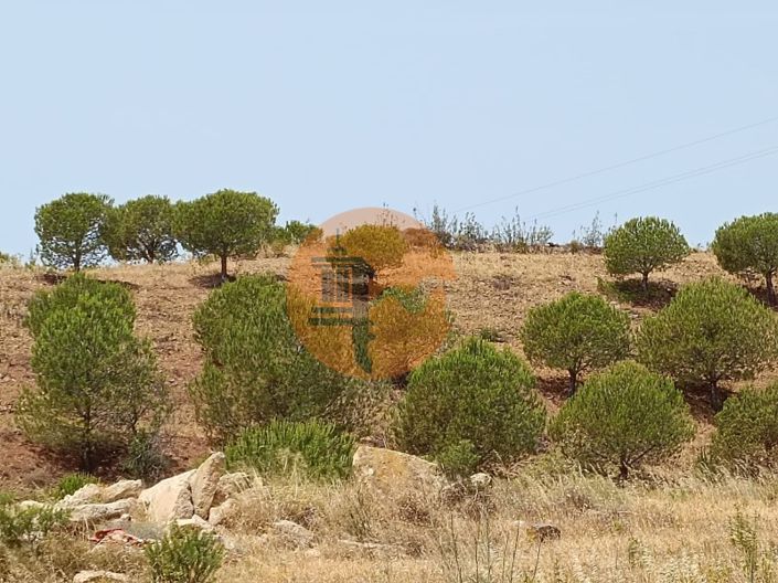 Image No.19-Plot for sale